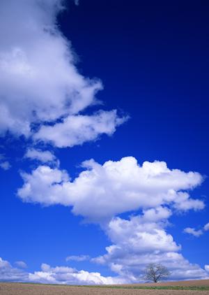 静岡市駿河区に新設された【家族葬のタクセル西中原】：家族と希望に寄り添う安心の葬儀場