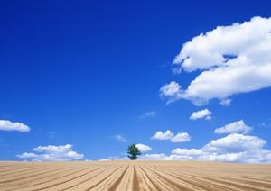 富士市青島の家族葬・小規模葬儀に最適な富士葬祭 富士青島の全て